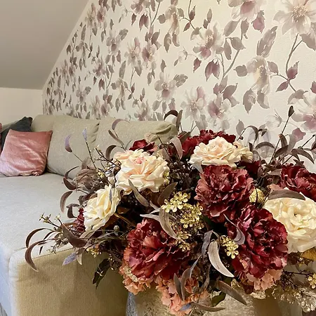 Guest house Statek U Kaplicky Nova Ves pod Plesi
